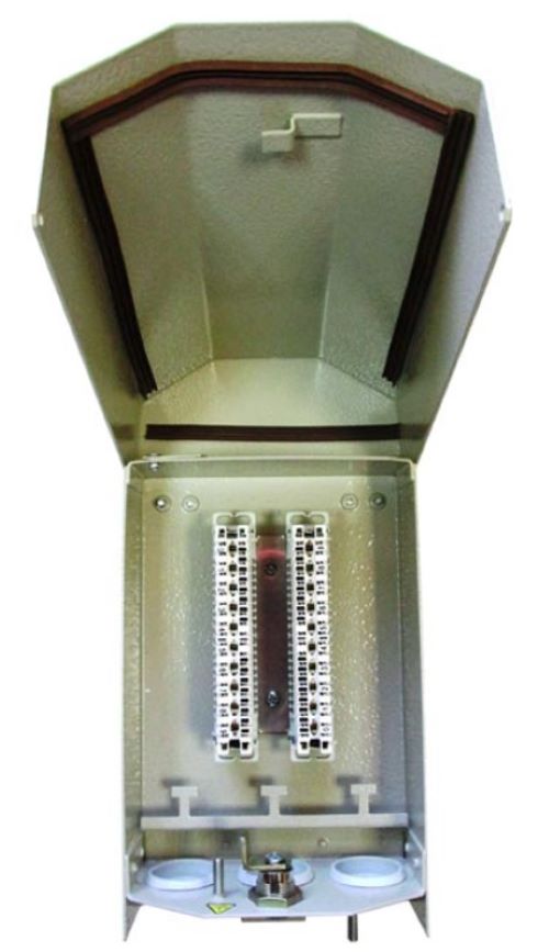 ЯК-П-10 (120911-00090)