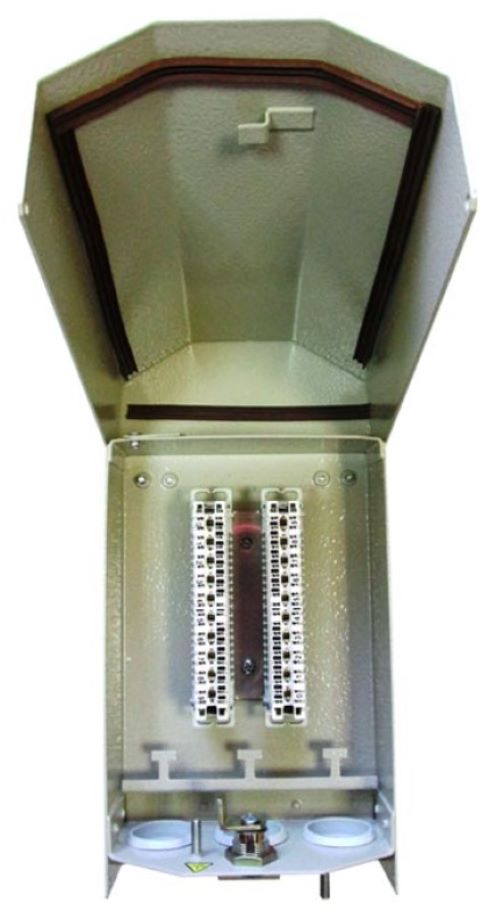 ЯК-П-20 (120911-00091)