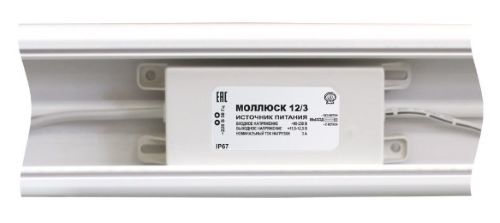 Моллюск 12/3 (866)